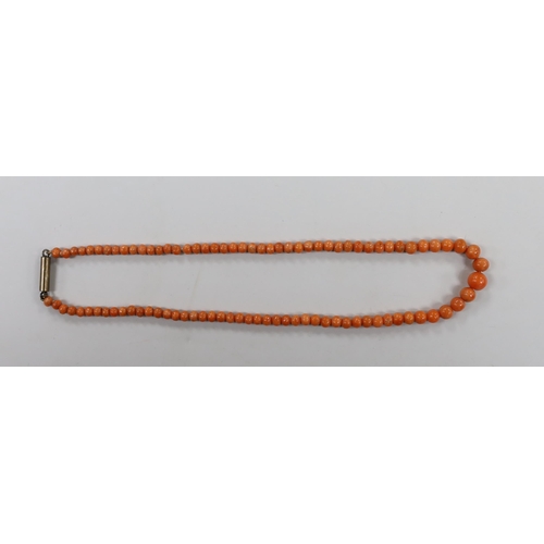 1940 - A small single strand graduated coral bead necklace, with gilt metal clasp, 35cm, gross 12.3 grams.... 