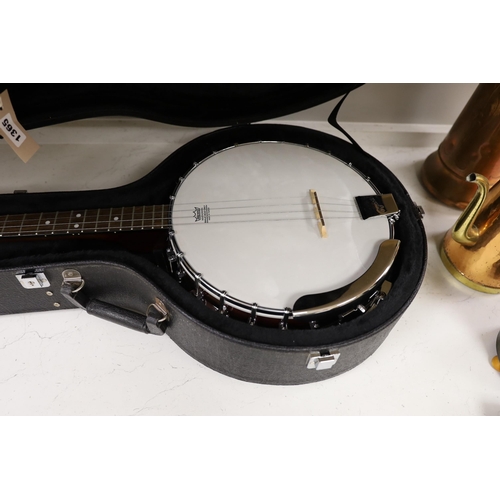 1365 - An Ozark banjo in a hard case