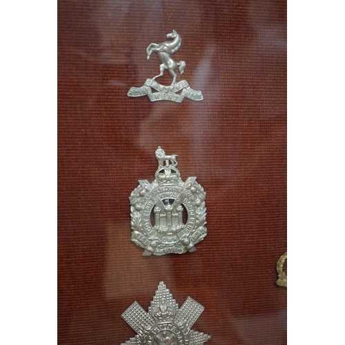 1452 - A framed collection of military cap Badges