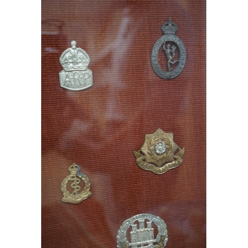 1452 - A framed collection of military cap Badges