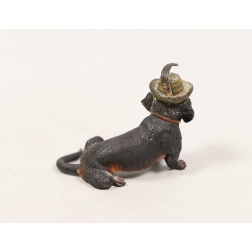 1545 - An Austrian cold painted bronze of a seated Dachshund wearing a hat