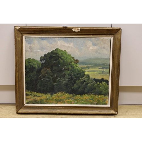 1720 - Modern British, oil on canvas, Trees in a landscape, label remnant verso, 40 x 50cm