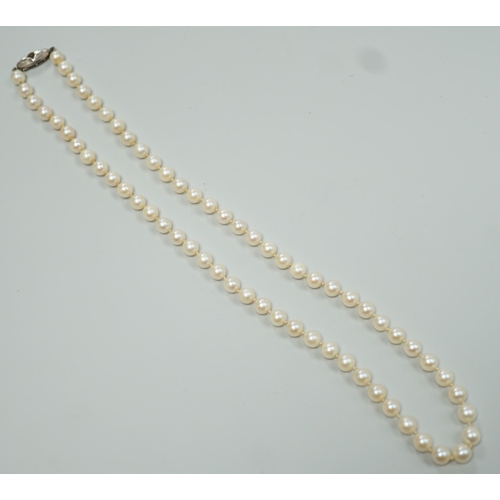 1924 - A Mikimoto single strand cultured pearl necklace, with sterling clasp, 48cm, with Mikimoto pouch.... 