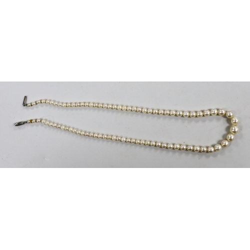 1929 - A single strand graduated cultured pearl necklace, with white metal clasp engraved 'Ciro' and 'plati... 