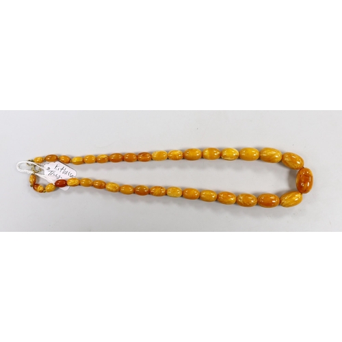 1931 - A single strand graduated amber bead necklace, 50cm, gross weight 31 grams.