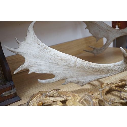 270 - A mounted pair of stag antlers, 96cms high