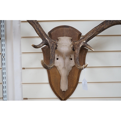 541 - A pair of mounted resin antlers