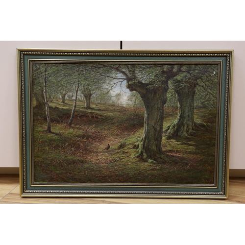 661 - English School c.1900, oil on canvas, Pheasant in woodland, indistinctly signed, 40 x 60cm