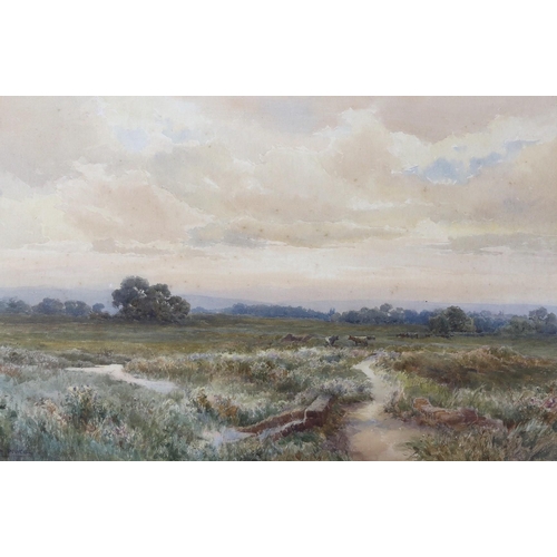 764 - Joseph Powell, watercolour, 'The Marsh between Pulborough and Amberley', signed, 35 x 53cm