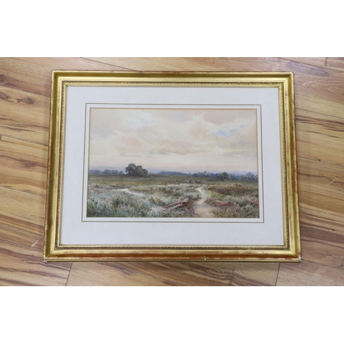 764 - Joseph Powell, watercolour, 'The Marsh between Pulborough and Amberley', signed, 35 x 53cm