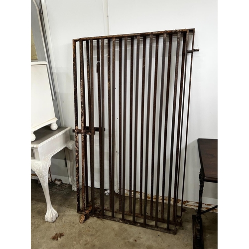 1020 - A pair of wrought iron garden gates, each gate width 93cm, height 160cm