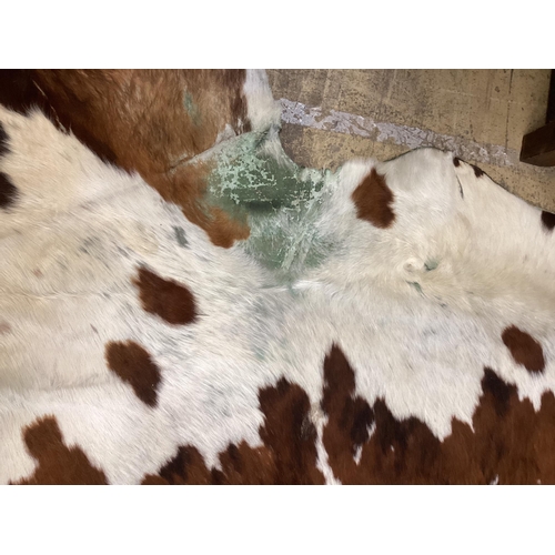 121 - A cow hide rug, width 205cm