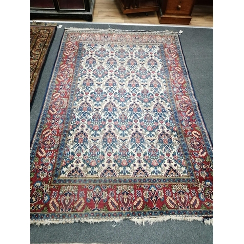 1184 - A Kashan ivory ground rug, 200 x 133cm