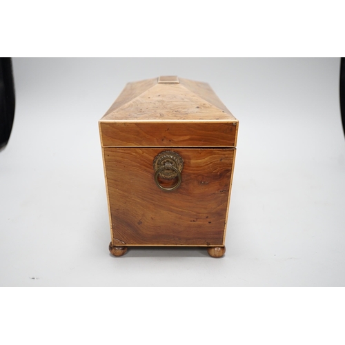 1412 - A Regency burr yew tea caddy (partly sun-bleached). 33cm wide Ivory submission reference: 1JYSY7TC... 