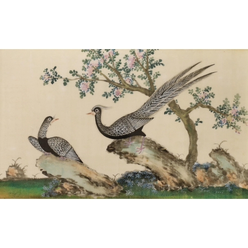 1661 - 19th Century Chinese School, two gouaches on pith paper, studies of birds, 19 x 30cm