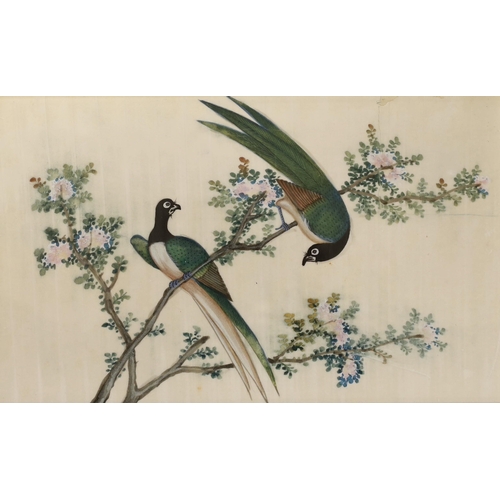 1661 - 19th Century Chinese School, two gouaches on pith paper, studies of birds, 19 x 30cm