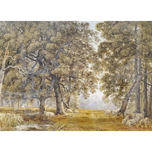 1704 - Attributed to George Barrett (1767-1842), watercolour, Sheep in woodland, J. Davey & Sons label vers... 