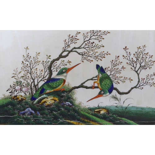 1722 - 19th century Chinese School, four gouaches on pith paper, Studies of birds in landscapes, 18 x 30cm... 