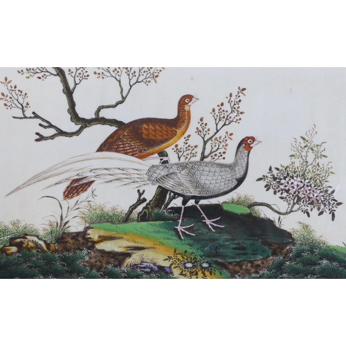 1722 - 19th century Chinese School, four gouaches on pith paper, Studies of birds in landscapes, 18 x 30cm... 