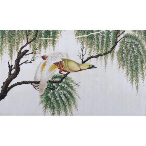 1722 - 19th century Chinese School, four gouaches on pith paper, Studies of birds in landscapes, 18 x 30cm... 