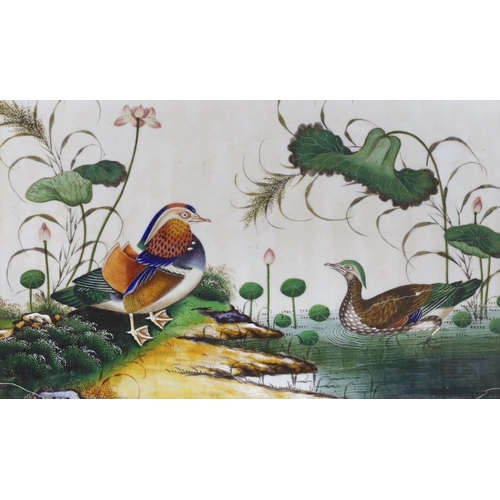 1722 - 19th century Chinese School, four gouaches on pith paper, Studies of birds in landscapes, 18 x 30cm... 