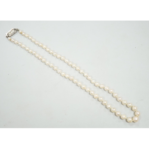 1946 - A single strand culture pearl necklace, with paste set sterling clasp, 38cm.