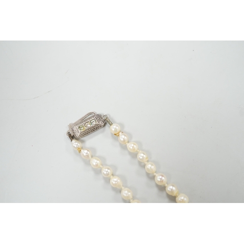 1946 - A single strand culture pearl necklace, with paste set sterling clasp, 38cm.