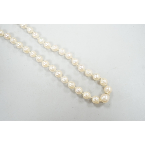 1946 - A single strand culture pearl necklace, with paste set sterling clasp, 38cm.