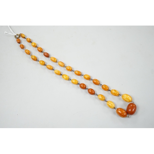 995 - A single strand graduated oval amber bead necklace, 44cm, gross weight 16 grams.