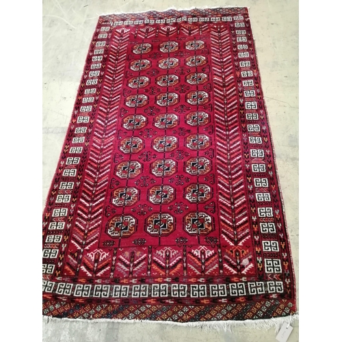 12 - A Bokhara red ground rug, 202 x 116cm