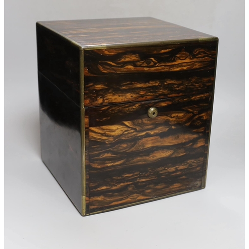 Lot 305       