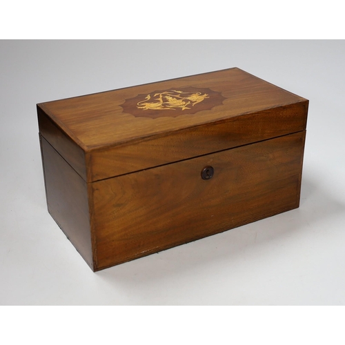 Lot 341       