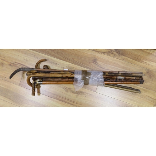 Lot 420       
