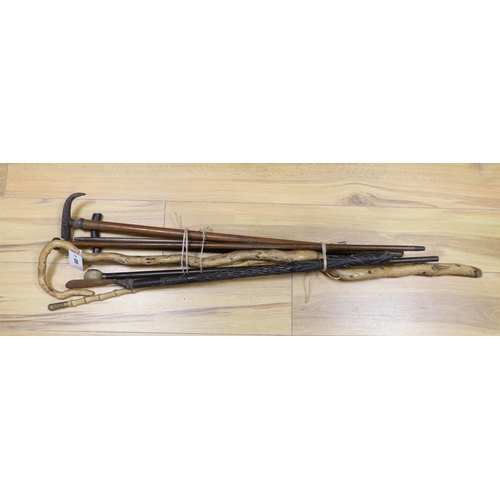 Lot 455       