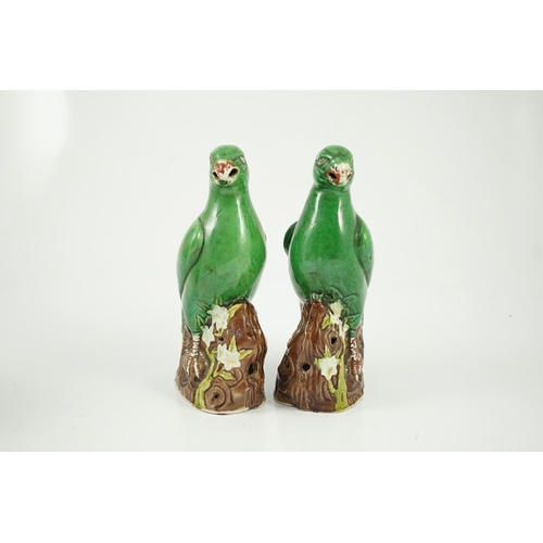 155 - A pair of Chinese green glazed models of parrots, Kangxi period, each perched on a tree bough with p... 