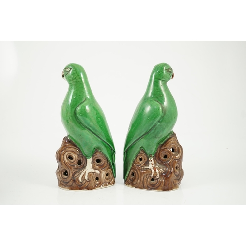 155 - A pair of Chinese green glazed models of parrots, Kangxi period, each perched on a tree bough with p... 