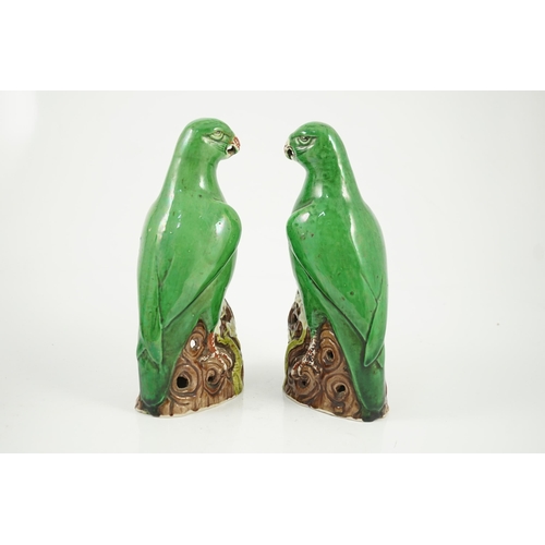 155 - A pair of Chinese green glazed models of parrots, Kangxi period, each perched on a tree bough with p... 