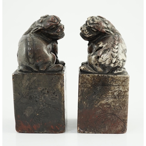 181 - A pair of Chinese soapstone lion-dog seals, Qing dynasty, with vacant matrices, the dark grey stone ... 