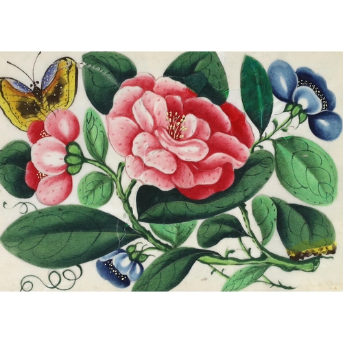 207 - A Chinese album of twelve pith paintings of flowers and insects, 19th century, each page with a blue... 