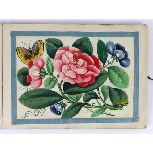 207 - A Chinese album of twelve pith paintings of flowers and insects, 19th century, each page with a blue... 