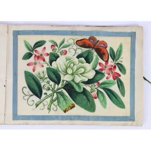 207 - A Chinese album of twelve pith paintings of flowers and insects, 19th century, each page with a blue... 