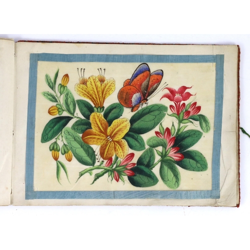 207 - A Chinese album of twelve pith paintings of flowers and insects, 19th century, each page with a blue... 