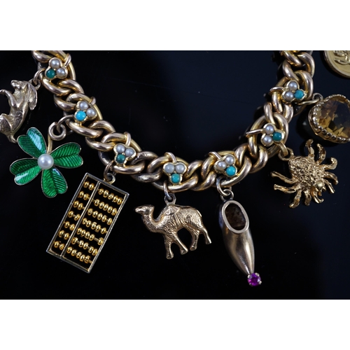 643 - An Edwardian 15ct gold, seed pearl and turquoise set curb link charm bracelet, the links with shamro... 