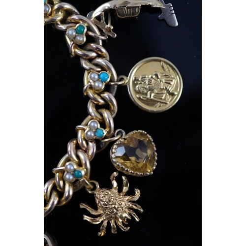 643 - An Edwardian 15ct gold, seed pearl and turquoise set curb link charm bracelet, the links with shamro... 