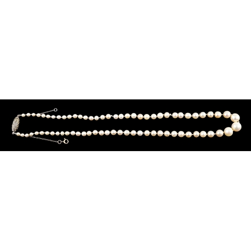 667 - A single strand graduated natural saltwater pearl necklace, with AnchorCert report dated 31st March,... 