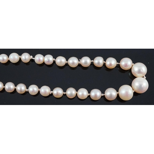 667 - A single strand graduated natural saltwater pearl necklace, with AnchorCert report dated 31st March,... 