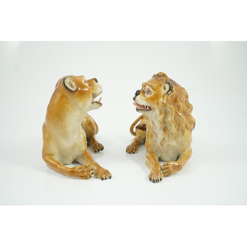 81 - A pair of Meissen figures of a recumbent lion and lioness, 19th century, after the models by J.J. Ka... 