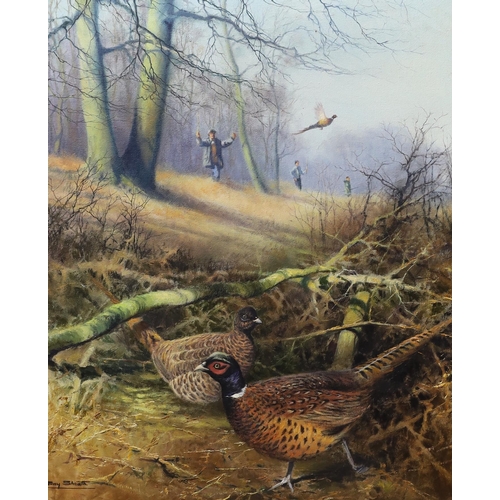 1722 - Tony Sheath (b.1946), oil on canvas, pheasant beating, signed, 59.5 x 49 cm
