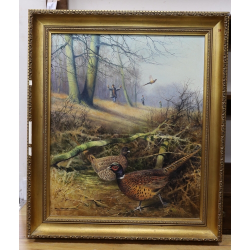 1722 - Tony Sheath (b.1946), oil on canvas, pheasant beating, signed, 59.5 x 49 cm