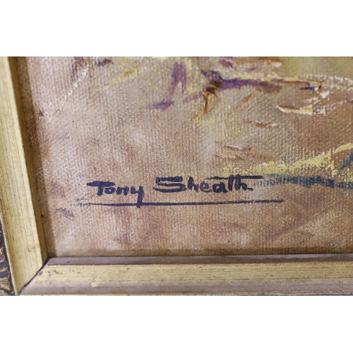 1722 - Tony Sheath (b.1946), oil on canvas, pheasant beating, signed, 59.5 x 49 cm